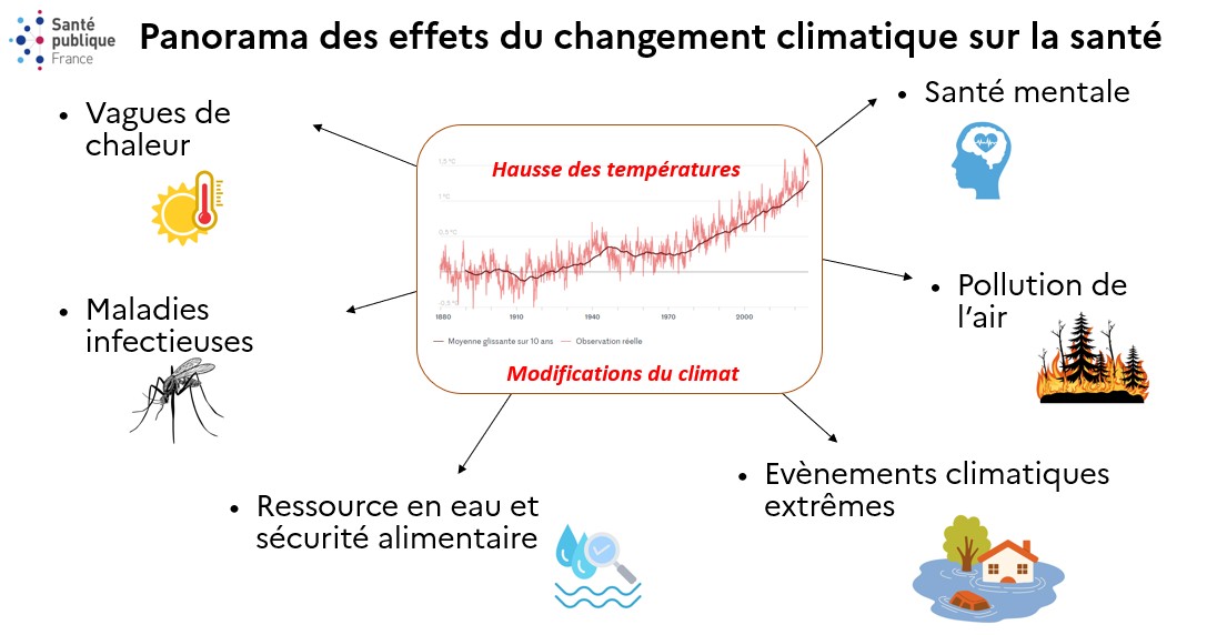 Illustration mentionnant avec images les différents effets du changement climatique sur la santé