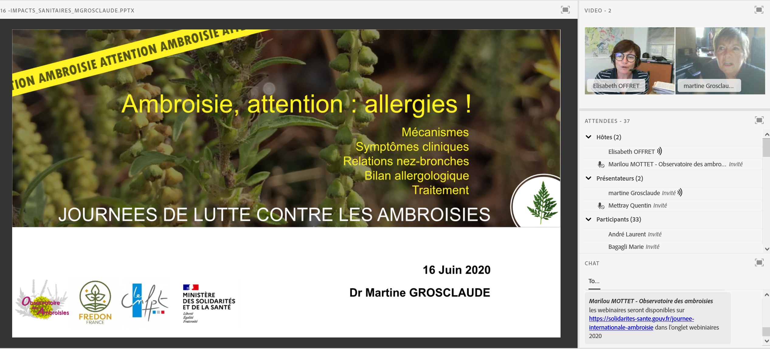 Capture d'écran extraite du webinaire « Ambroisie, attention : allergies ! » de Martine Grosclaude
